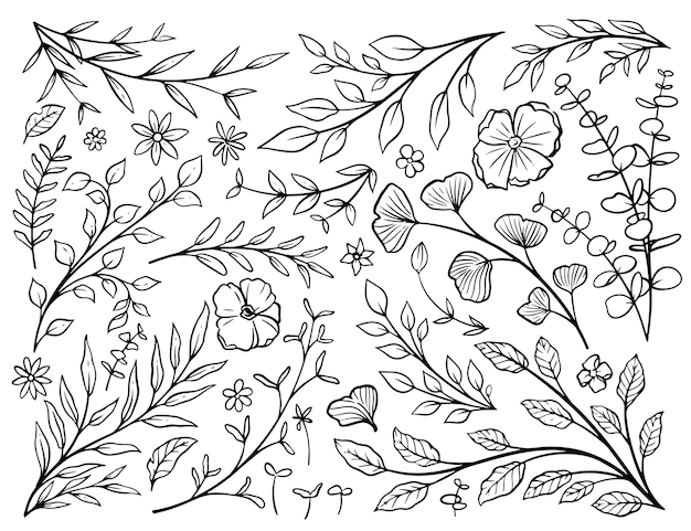 Leaves doodle collection leaves set