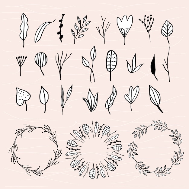 Vector leaves doodle collection