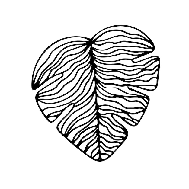 Leaves in doodle style Vector illustration Hand drawn line art leaves on white background