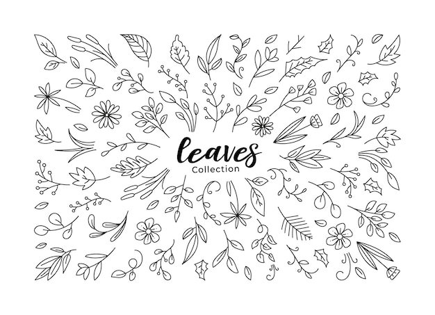 Leaves Floral Doodle Set Botanical Leaf Element Hand Drawn leaf and Floral Icon Collection