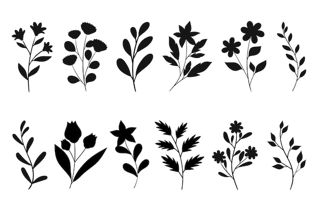 Leaves flowers and branches silhouettes set wild plants and garden flowers silhouettes on white