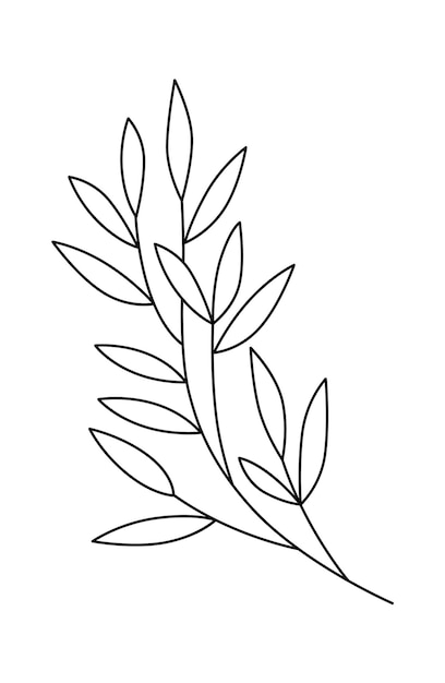 Leaves and flowers line art Contemporary floral design