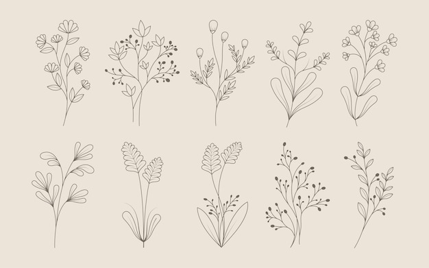 Vector leaves and flowers line doodle