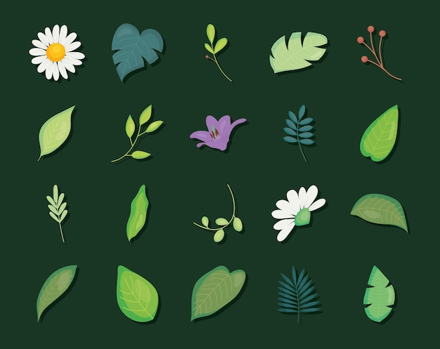 Leaves and flowers  set over green background, colorful ,  illustration