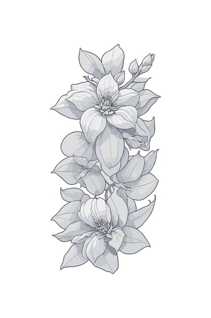 The leaves and flowers vector design magnolia branch
