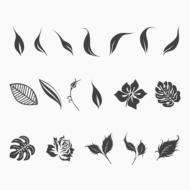 Vector leaves and flowers vector illustration