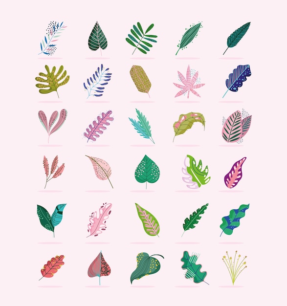 Leaves foliage branch nature botanical decoration icons set illustration