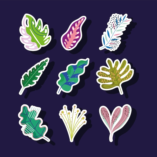 Leaves foliage nature abstract decoration stickers icons set illustration