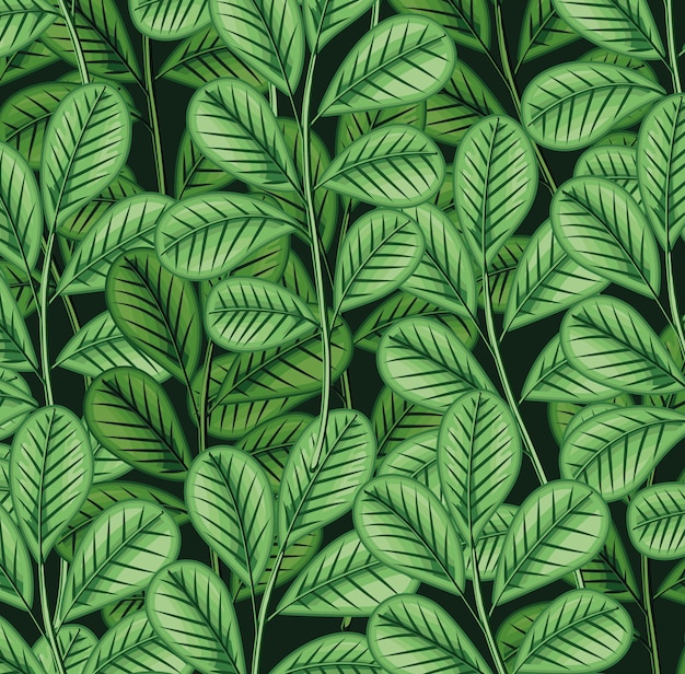 Leaves foliage tropical pattern