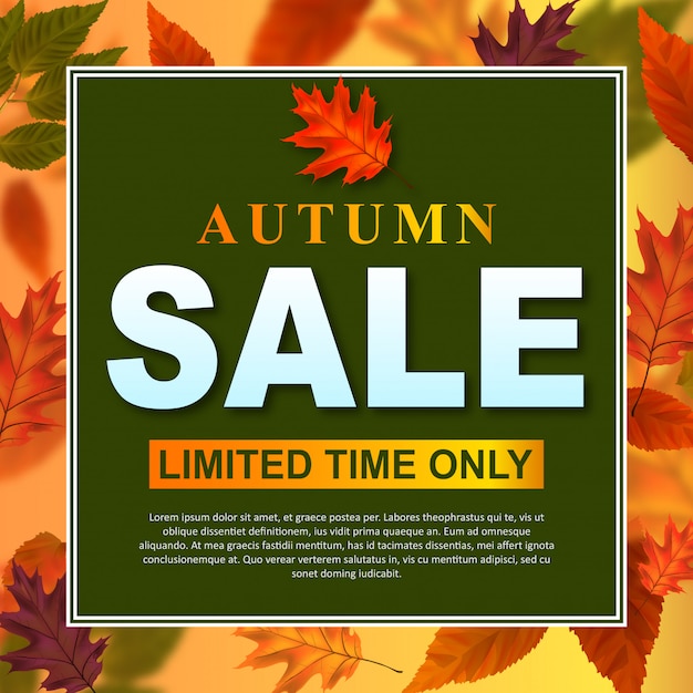 Leaves frame autumn sale