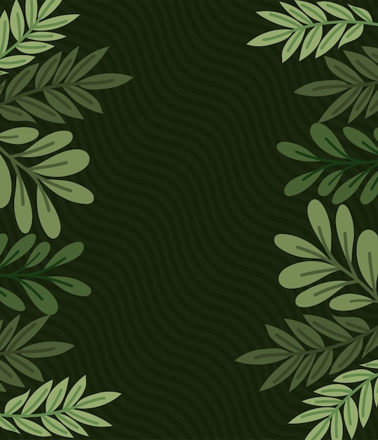 Vector leaves frame design