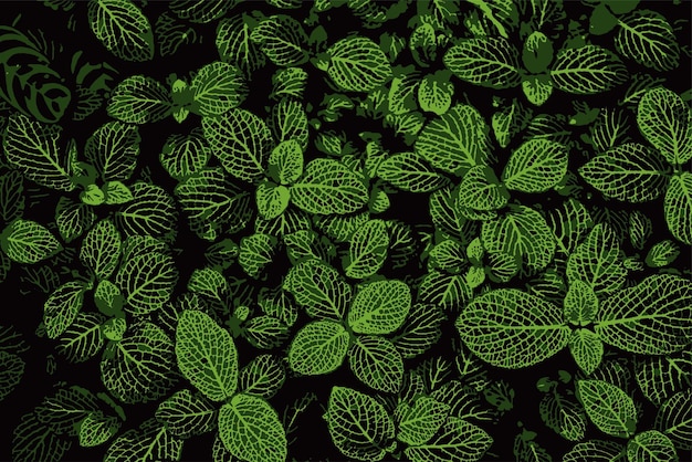 leaves green background vector