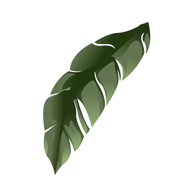 Vector leaves of green color, vector ilustration