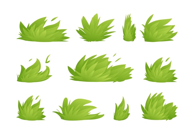 Leaves of green grass