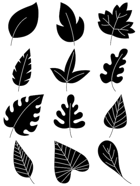 Leaves hand drawn icon vector set isolated on white background. Hand drawn decorative elements