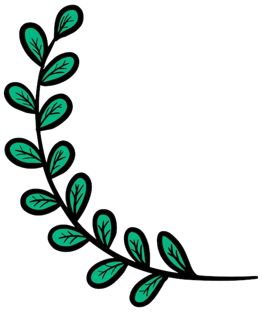 Vector leaves hand drawn illustration color vector illustration