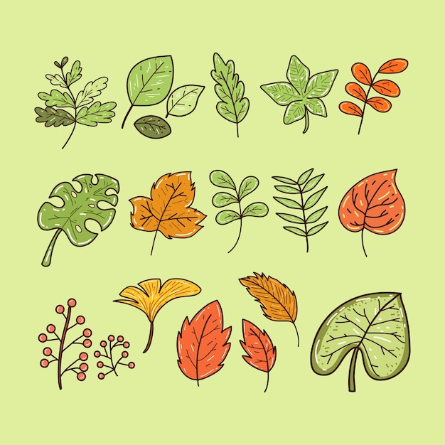 Leaves handdrawn illustration collection