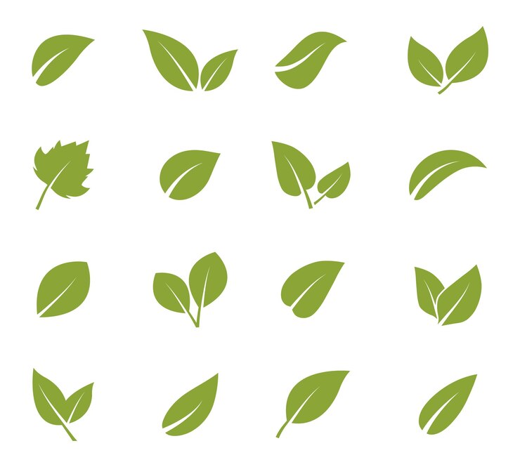 Vector 葉のアイコンセット 緑の葉のアイコン 木や植物の葉