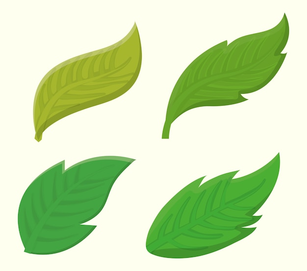 Leaves icon over white background colorful design