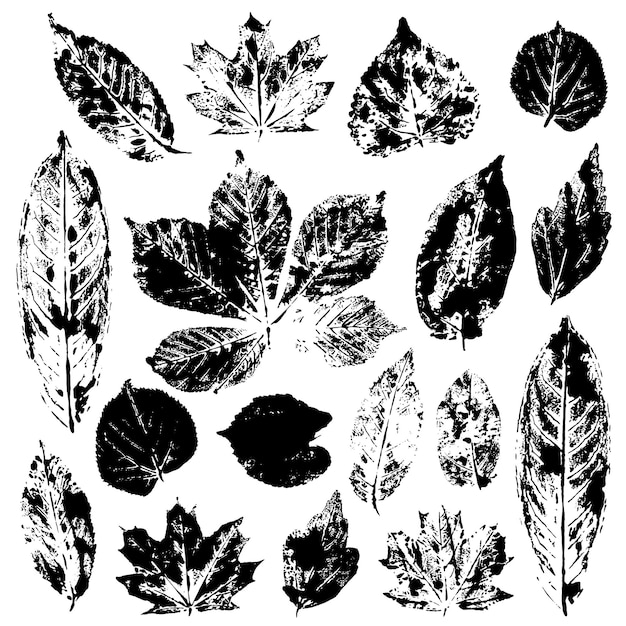 Leaves imprints set isolated on white background vector