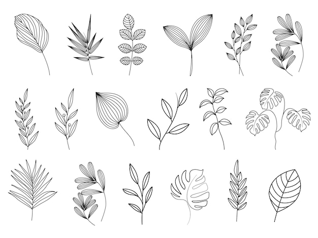 Vector leaves line drawing minimalist artwork illustration set