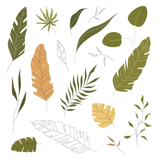 Leaves in linear hand drawn style