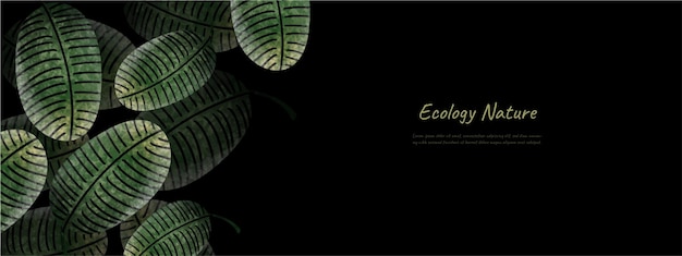 Vector leaves nature background design vector for ecology nature background