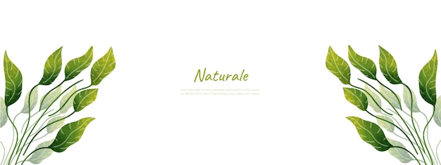 Leaves nature background design vector for ecology nature background