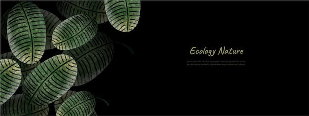 Вектор Листья природа фон дизайн вектор для экологии природа фон
