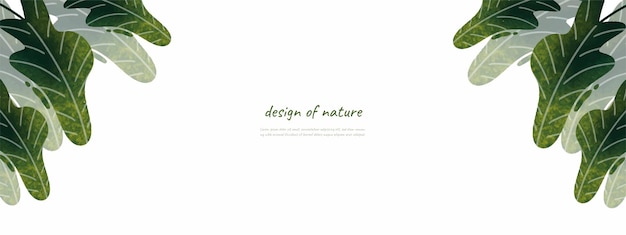 Листья природа фон дизайн вектор для экологии природа фон