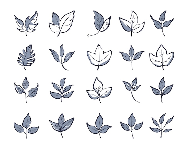 Vettore illustrazione vettoriale dei contorni delle foglie doodles