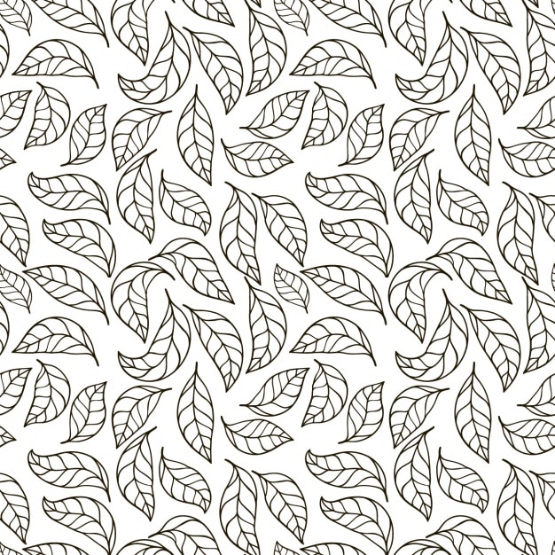 Vector leaves pattern design