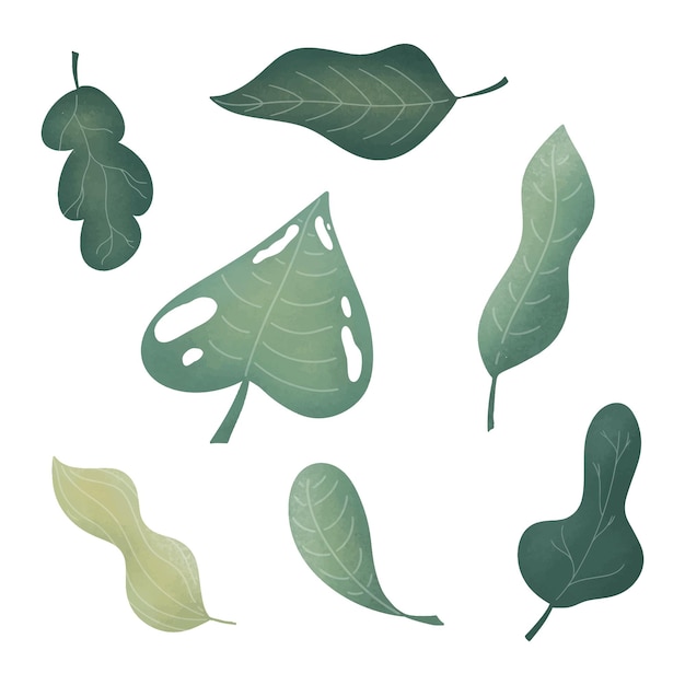 Векторный дизайн листьев растений