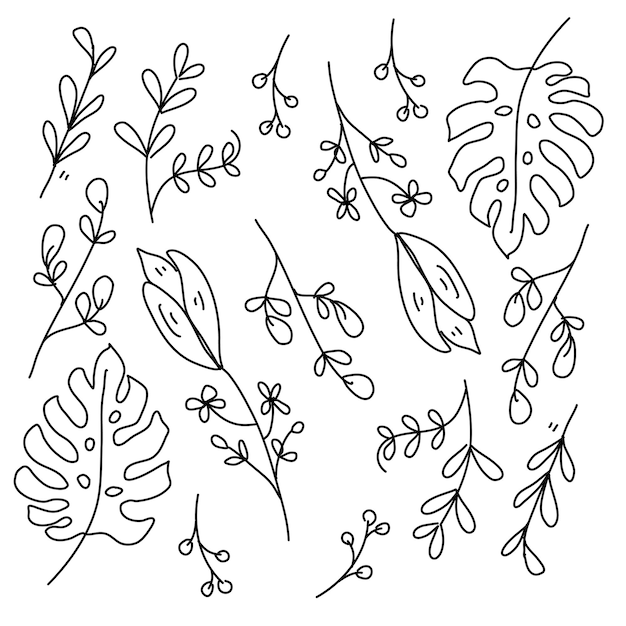 Leaves plant set with doodle line style vector design