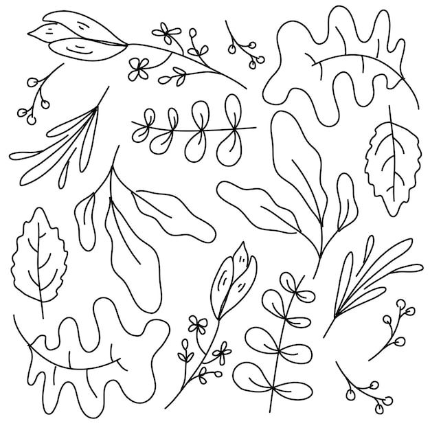 Vector leaves plant set with doodle line style vector design