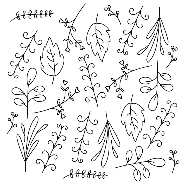 Vector leaves plant set with doodle line style vector design