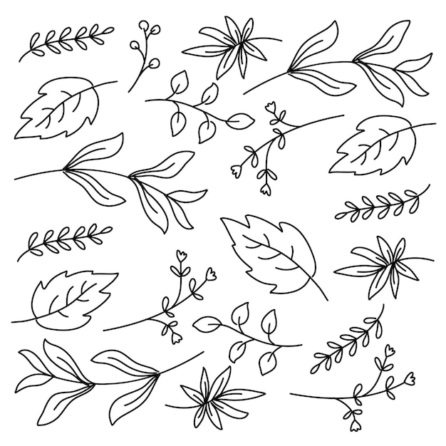 Leaves plant set with doodle line style vector design