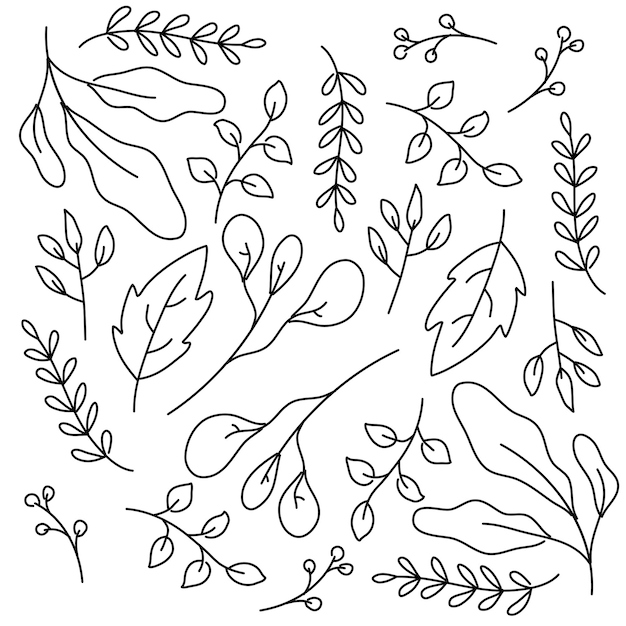 Vector leaves plant set with doodle line style vector design