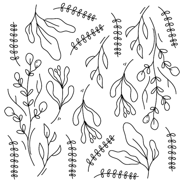 Vector leaves plant set with doodle line style vector design