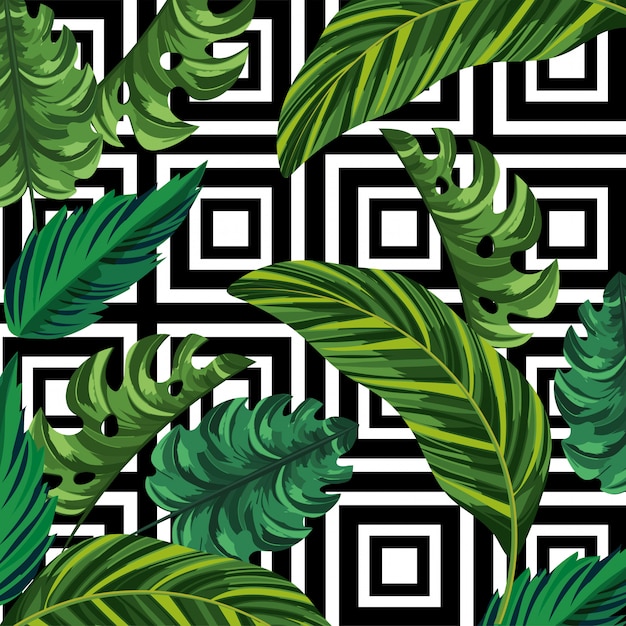 Leaves plants and geometric figures background