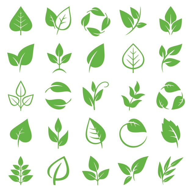 Leaves and plants icon set Vector design elements on white background