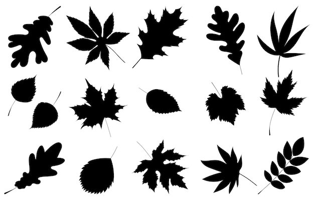 Leaves set black silhouette isolated vector