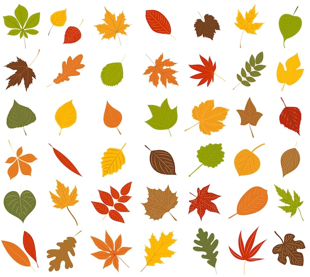 Leaves set in flat style isolated vector