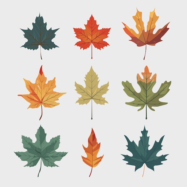 다른 색상과 다른 모양 벡터 일러스트로 설정된 나뭇잎