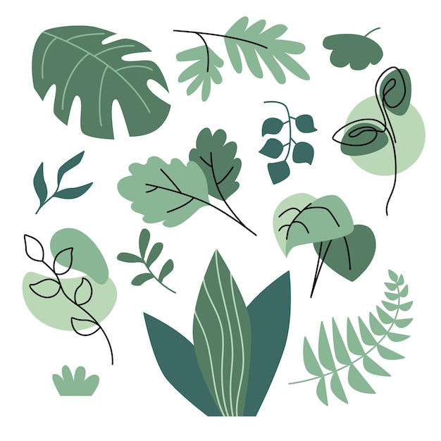 Vector leaves set