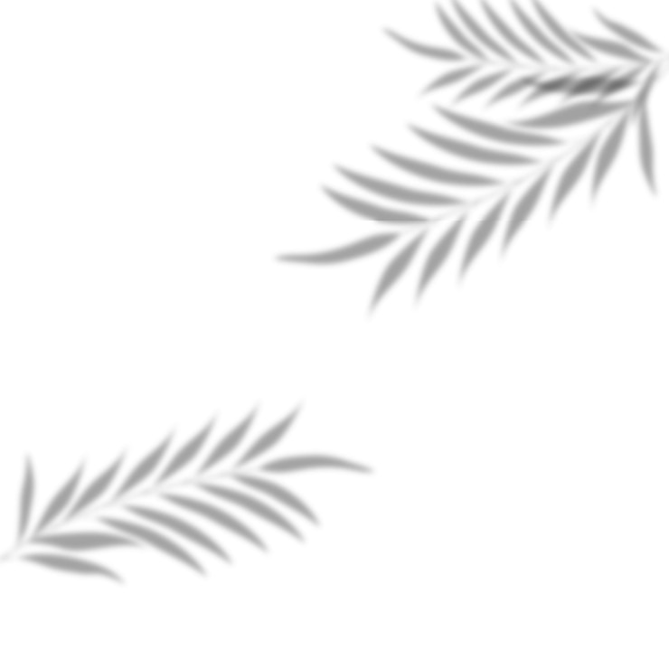 Вектор тень листьев png тропические листья тень для макетов изолированы на прозрачном фоне