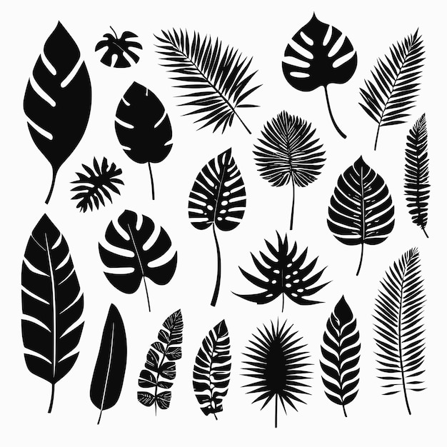 Vector leaves silhouette set leaf collection vector design