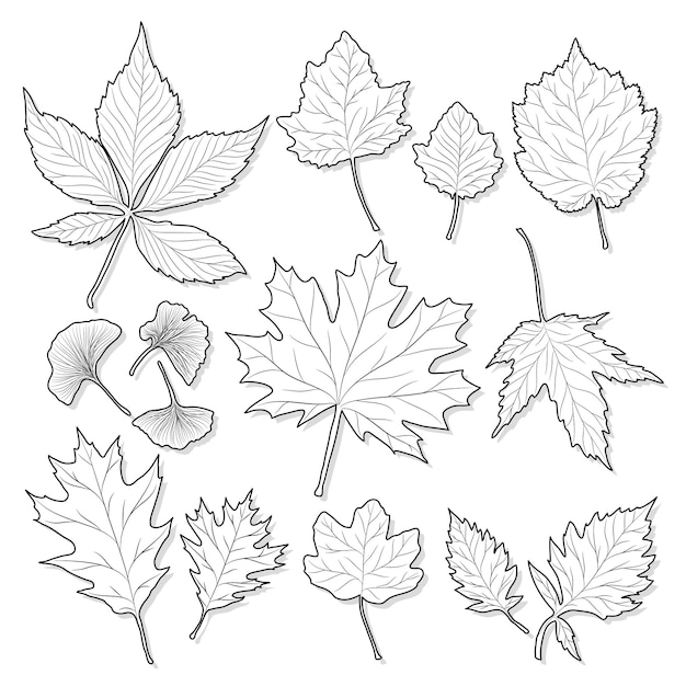 leaves silhouette set on white background vector