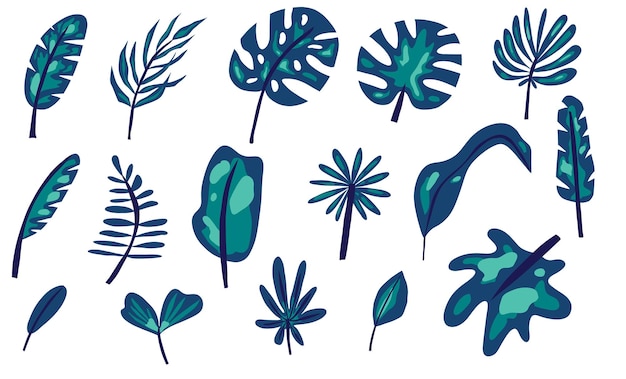 Vector leaves tropical blue jungle exotic leaf palm monstera and banana botanical decor summer nature design object rainforest subtropical trees vector isolated on white background set