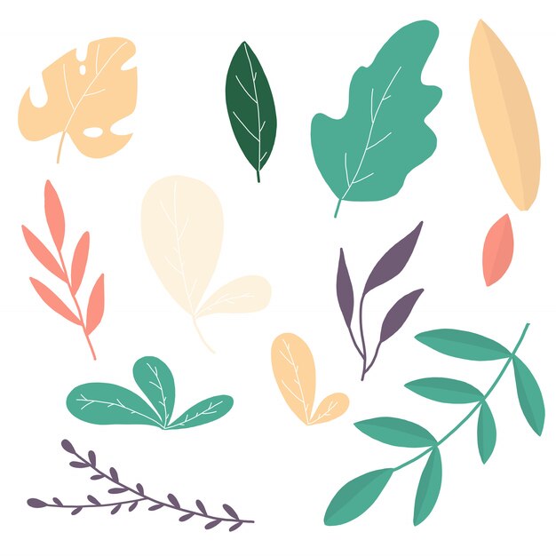 Vector leaves_tropical